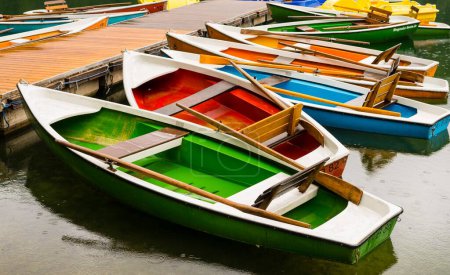Colorful rowing boats, Freibergsee in Oberstdorf, Allgaeu, Bavaria, Germany, Europe