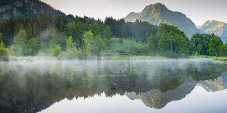 Moor pond with early fog, at the back the mountain Himmelschrofen, 1791m, near Oberstdorf, Oberallgaeu, Allgaeu, Bavaria, Germany, Europe