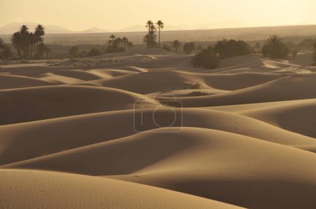 Desert of Erg Chebbi, Morocco, Africa, PublicGround, Africa