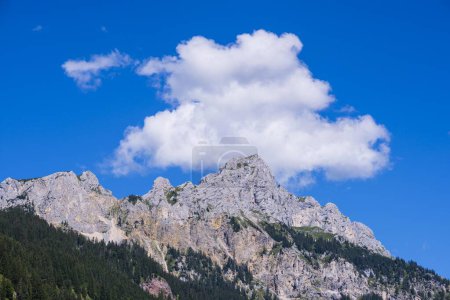 Rote Flueh, 2108m, Tannheim Mountains, Allgaeu Alps, Tyrol, Austria, Europe