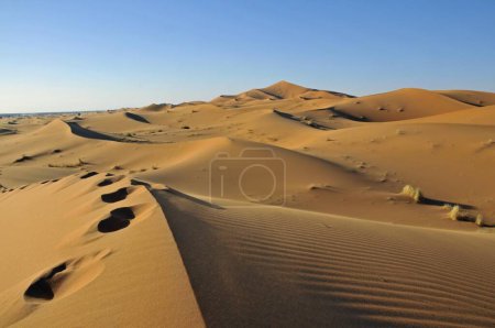 Désert, dune de sable d'Erg Chebbi, Maroc, Afrique