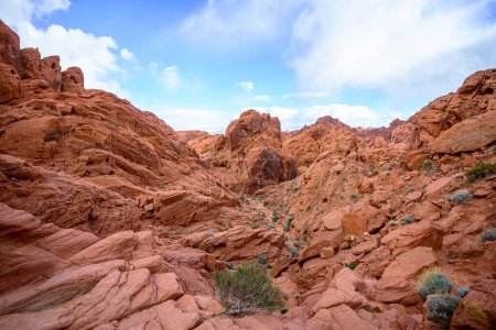 Rainbow Vista Trail, rocas de arenisca roja, desierto de Mojave, formación de arenisca, Valley of Fire State Park, Nevada, Estados Unidos, América del Norte