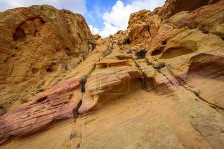 Rainbow Vista, red yellow sandstone rocks, Mojave desert, sandstone formation, Valley of Fire State Park, Nevada, USA, North America