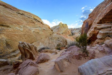 Colorful, Red Orange Rock Formations, Sandstone Rock, Hiking Trail, White Dome Trail, Valley of Fire State Park, Mojave Desert, Nevada, USA, North America