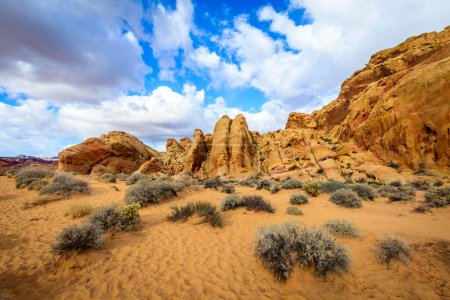 Rainbow Vista, rocas de arenisca roja, desierto de Mojave, formación de arenisca, Valley of Fire State Park, Nevada, Estados Unidos, América del Norte