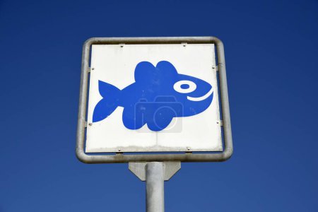 Schild am Strand in der Nähe von Ouddorp, Fisch, Provinz Südholland, Niederlande