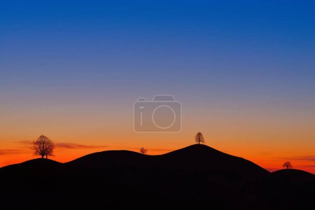 Arbres sur les collines moraines, silhouettes au coucher du soleil, Menzingen, Canton de Zoug, Suisse, Europe