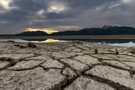Cracked, dried out soil with small water area and Allgu Alps in the background, Forggensee, Fssen, Ostallgu, Bavaria, Germany, Europe 