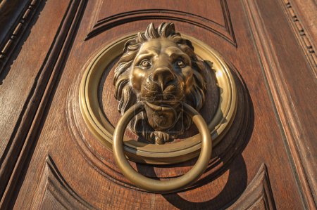 Löwenkopf klopft an die Tür.