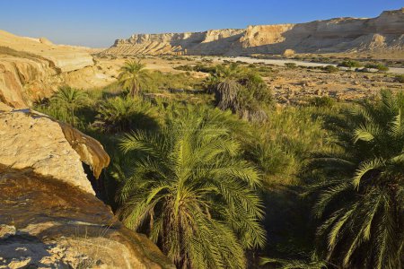 Limestone canyon of Wadi Shuwaymiyah, Dhofar, Oman, Asia