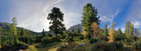 Bergwald, Aussicht auf die Klobenjoch-Nordwand mit Föhnwolken, Kotalm, Rofangebirge, Tirol, Österreich, Europa