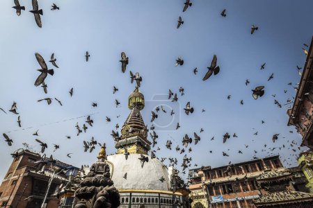 Kathesimbhu Stupa, Doves, Kathmandu, Himalaya Region, Nepal, Asien