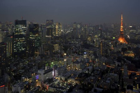 View from the Mori-Tower to the city illuminated at night with the Tokyo Tower, Rappongi Hills, Tokyo, Japan, Asia
