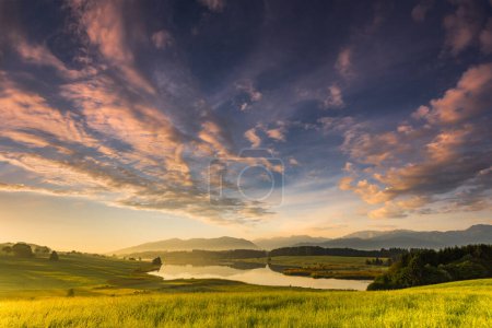 Forggensee with mountain meadow and the Allguer mountains in the background at sunrise, Fssen, Allgu, Bavaria, Germany, Europe 