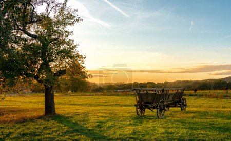 Hay wagon on the field at sunset, flatness, Saxon Switzerland, Saxony, Germany, Europe