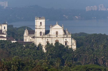 View of Se Cathedral among palm trees, Old Goa, India, Asia