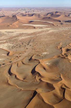Sand dunes in the Namib Desert, top centre the Witberg (White Mountain, 426m), with Camelthorn trees (Acacia erioloba) at the dry bed of the Tsauchab river, aerial view, Namib-Naukluft National Park, Namibia, Africa