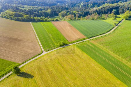 Luftaufnahme, Straße zwischen landwirtschaftlichen Flächen, Schwäbischer Wald, Baden Württemberg, Deutschland, Europa 