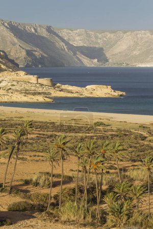 Playazo Strand mit Palmen und der Burg von San Ramon auf der linken Seite, Naturschutzgebiet Cabo de Gata-Nijar, Provinz Almeria, Andalusien, Spanien, Europa