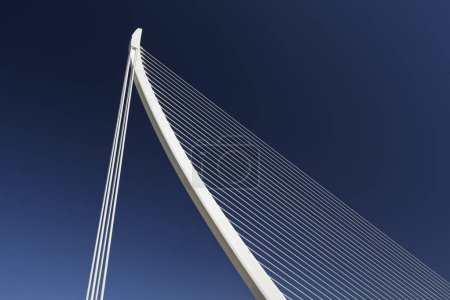 Harp-shaped cable-stayed bridge, Pont de LAssut de lOr, architect Santiago Calatrava, CAC, Ciutat des les Arts i les Cincies, Valencia, Spain, Europe 