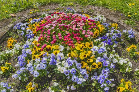 Cama de flores con flores de primavera, Alta Baviera, Baviera, Alemania, Europa