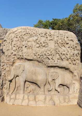 Nahaufnahme von Elefanten in Arjunas Buße oder Abstieg des Ganges, Felsrelief mit Elefantenfiguren und Hinduismus-Figuren, Mahabalipuram, Mamallapuram, Indien, Asien