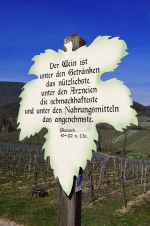 Weinblatt with slogan, nature trail at the vineyard of Gimmeldingen, Pflzer Weinsteig, Neustadt an der Weinstrae, Rhineland-Palatinate, Germany, Europe 