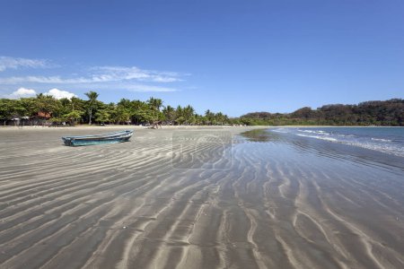 Palmen und Sandstrand bei Ebbe in Samara, Playa Samara, Nicoya Halbinsel, Provinz Guanacaste, Costa Rica, Mittelamerika