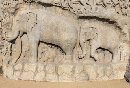 Detail der Elefanten in Arjunas Buße oder Abstieg des Ganges, Elefantenfiguren auf Felsrelief, Mahabalipuram, Mamallapuram, Indien, Asien