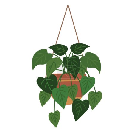 Illustration for Green pothos or devil's ivy plant, hanging house plant, vines vector illustration isolated on white background - Royalty Free Image