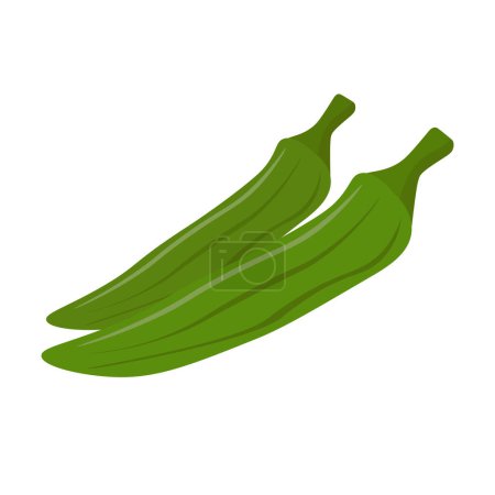 Ilustración de Ilustración vectorial de ícono plano de Okra, verdura okro aislada sobre fondo blanco, verduras abelmoschus esculentus - Imagen libre de derechos