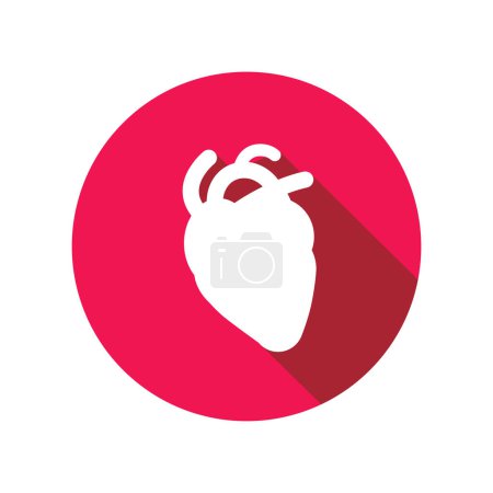 Menschliches Herz-Organ Icon-Vektor-Illustration Design, Kreisform flaches Icon-Design mit langem Schatten