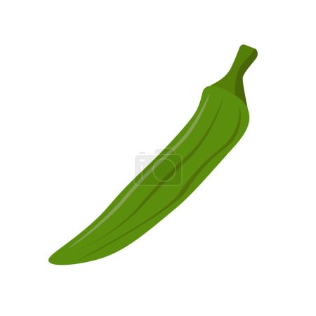 Ilustración de Ilustración de vector de icono plano Okra, okro vegetal aislado sobre fondo blanco, simple imagen vegetal de dibujos animados - Imagen libre de derechos