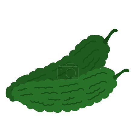 Bitter gourd or pare vegetable, hand drawn peria or paria vegetables, cartoon flat illustration