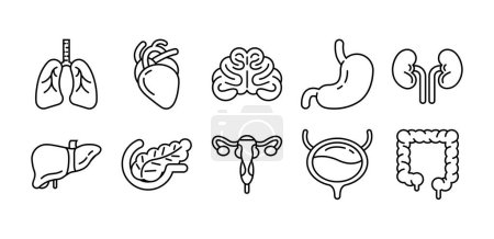 Illustration for Human internal organs icon set, line art style illustration - Royalty Free Image