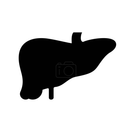 Illustration for Human organ liver icon, black silhouette vector illustration - Royalty Free Image