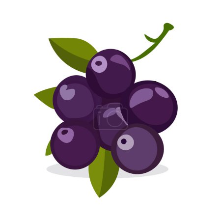 Black currant fruit flat icon vector illustration on white background