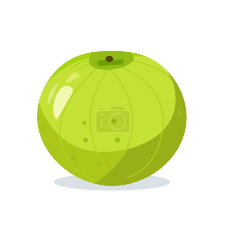 Green melon fruit flat icon vector illustration, isolated on white background