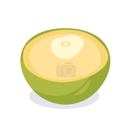 Illustration for Green coconut vector illustration, peeled coconut icon isolated on white background - Royalty Free Image