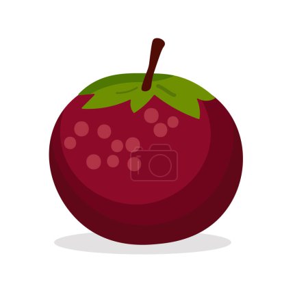 Mangosteen fruit flat icon vector illustration, isolated on white background