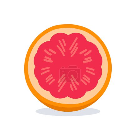 Red blood orange fruit icon vector illustration, grapefruit slice image isolated on white background