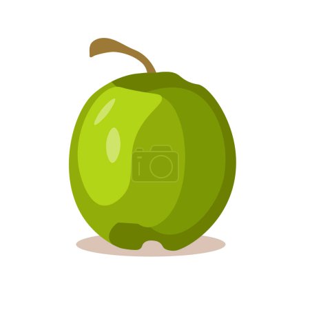Ilustración de Dibujos animados fruta de coco verde aislado en blanco, vector plano ilustración - Imagen libre de derechos