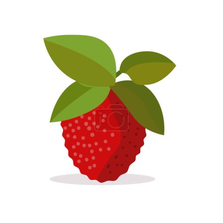 Lychee or litchee flat icon, litchi or leci image, lychee fruit vector illustration design template elements