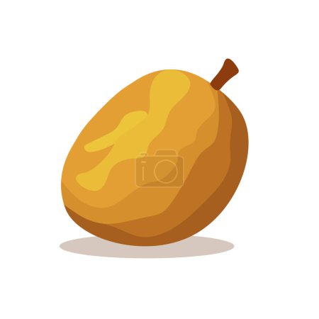 Sawo or sapodilla fruit vector illustration, manilkara zapota or chicozapote flat icon, chicoo or chicle image,naseberry or nispero, soapapple isolated on white background 