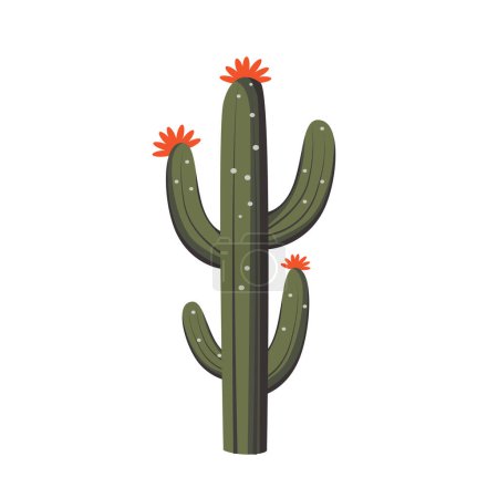 Ilustración de Cactus flor planta vector ilustración, árbol de cactus en estilo de diseño plano - Imagen libre de derechos