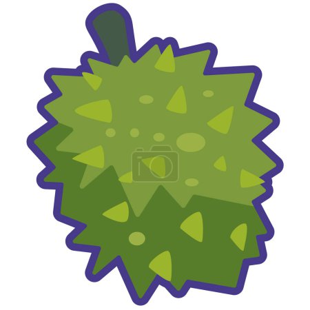 Cartoon durian fruit vector image, whole duren flat icon iillustration, king of fruit isolated on white