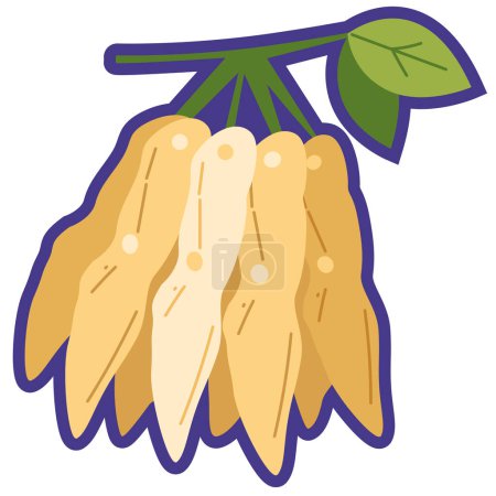 Tamarind fruit vector illustration, buah asam jawa tropical fruits, tamarindo or tamarindus indica clip art, indian date flat icon