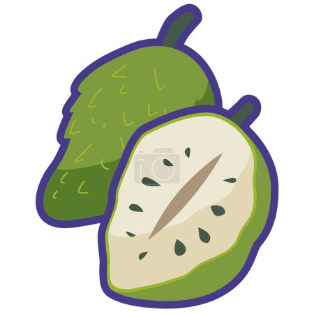 Illustration vectorielle Soursop ou graviola, benggala durian ou fruit guyabano, buah sirsak ou clip art à la crème piquante, belanda durian ou icône plate sirsat, eropa durian ou makkah durian