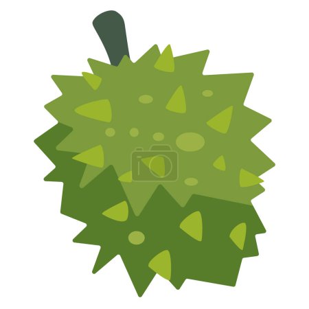 Imagen vectorial duriana, fruta tropical asiática, rey de las frutas ilustración, estéril o duryoen aislado sobre fondo blanco, dureano o clipart doriano