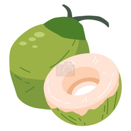 Ilustración de Ilustración de vector de coco verde de rodajas enteras y medias, clipart de frutas de verano de degan o kelapa muda, imagen de cocos nucifera - Imagen libre de derechos